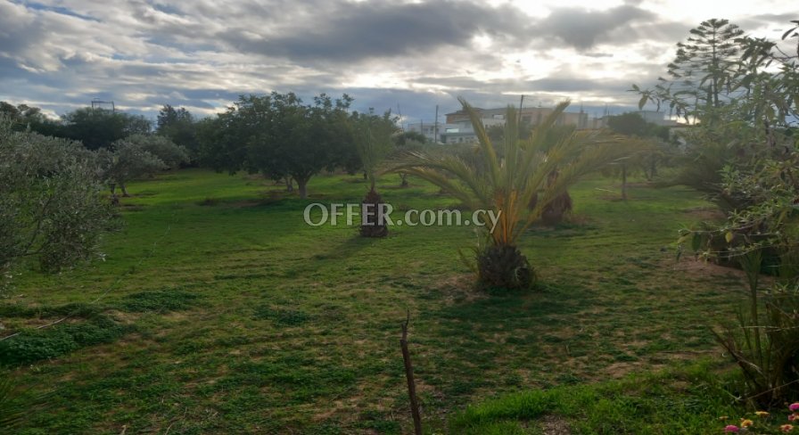 New For Sale €580,000 House (1 level bungalow) 3 bedrooms, Detached Agioi Trimithias Nicosia - 2