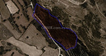 Agricultural Field for sale in Tsada, Paphos - 1