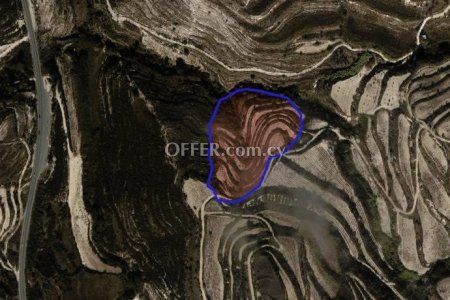 Agricultural Field for sale in Tsada, Paphos - 1