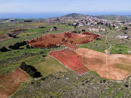 Field for Sale in Drouseia, Paphos - 1