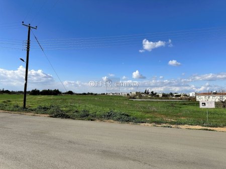 Residential fields in Deryneia - 6