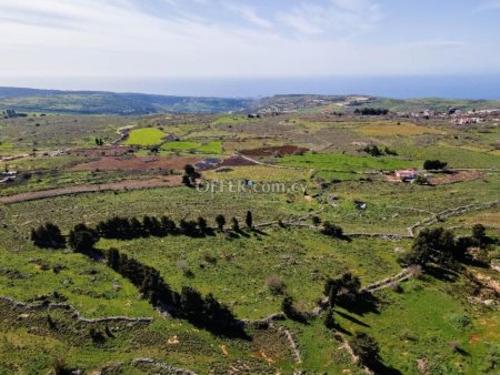 Field for Sale in Drouseia, Paphos - 4