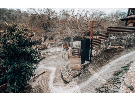 Traditional stone house with private swimming pool in Louvaras village - 8