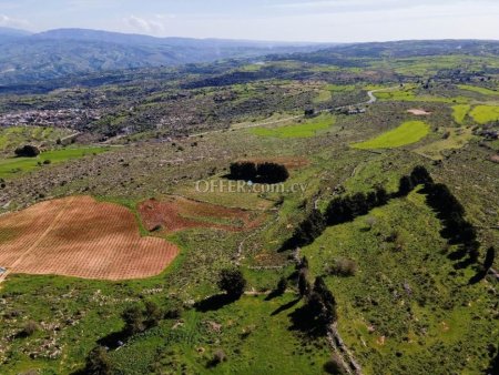 Field for Sale in Drouseia, Paphos - 3