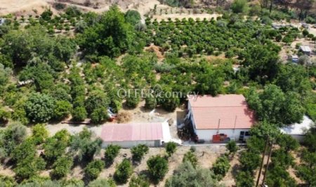 BEAUTIFUL 2 BEDROOM NEWISH FARMHOUSE  IN 6775 M2 LAND IN MELINI - 1