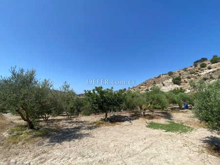 Agricultural Field for sale in Pissouri, Limassol - 10