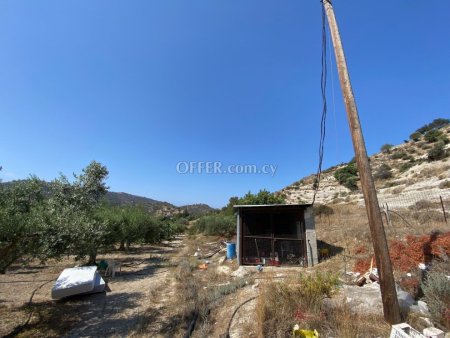 Agricultural Field for sale in Pissouri, Limassol - 8