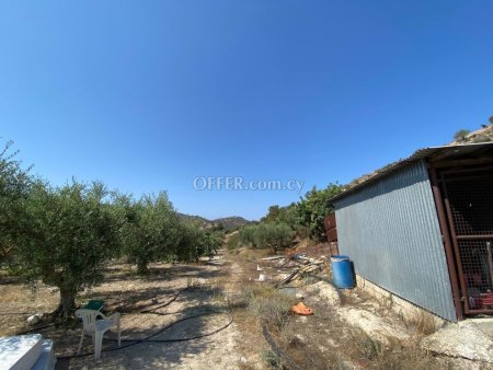 Agricultural Field for sale in Pissouri, Limassol - 7