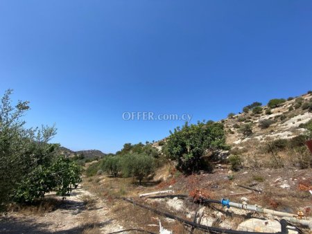 Agricultural Field for sale in Pissouri, Limassol - 6