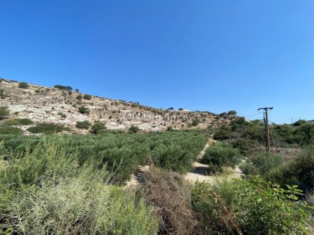 Agricultural Field for sale in Pissouri, Limassol - 5