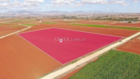 Live breeding field in Orounta Nicosia