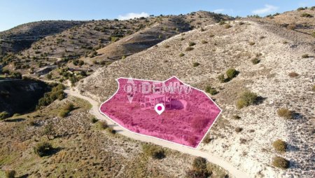 Agricultural Land For Sale in Nata, Paphos - DP3897 - 4