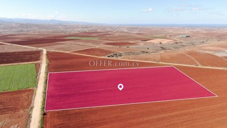 Live breeding field in Orounta Nicosia - 4