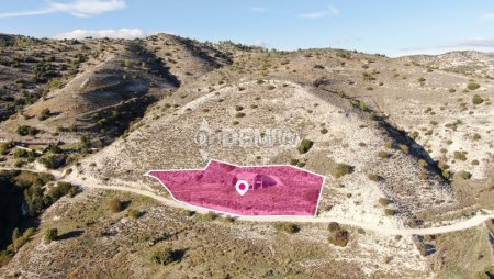Agricultural Land For Sale in Nata, Paphos - DP3897 - 3