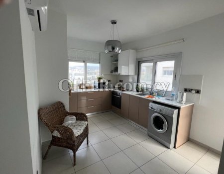 Spacious 2 Bedroom Apartment in Excellent Condition - 6