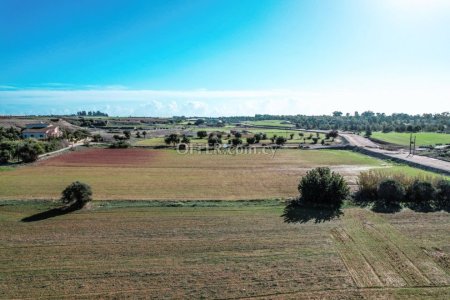 Field for Sale in Ormideia, Larnaca - 5