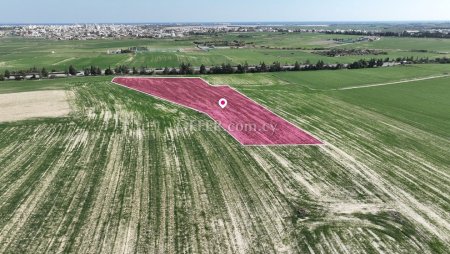 Agricultural field in Kalo Chorio Larnaca - 1