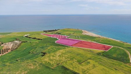 Field for Sale in Mazotos, Larnaca