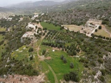 Agricultural Field for sale in Peristerona Pafou, Paphos - 3
