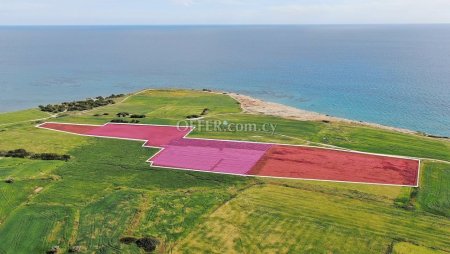 Field for Sale in Mazotos, Larnaca - 4