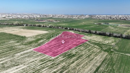 Agricultural field in Kalo Chorio Larnaca - 3