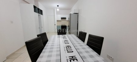 Fully renovated spacious 2 bedrooms Ground floor Apartment - 2