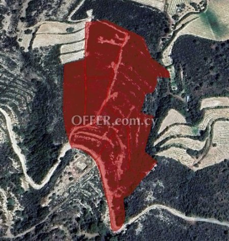 Field for sale in Agios Mamas, Limassol - 2