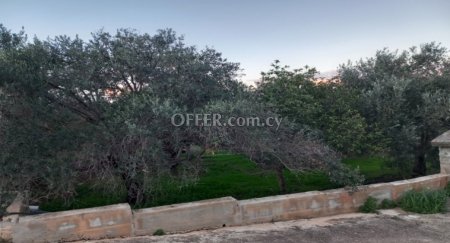 New For Sale €228,000 House (1 level bungalow) 4 bedrooms, Detached Astromeritis Nicosia - 3