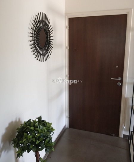 Two-Bedroom Apartment in Egkomi for Rent - 9