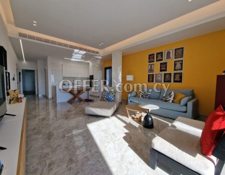 Brand new 3 bedroom penthouse with private pool and roof garden - 8