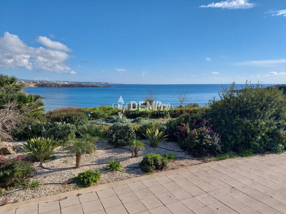 Villa For Sale in Peyia - Coral Bay, Paphos - DP3966 - 4