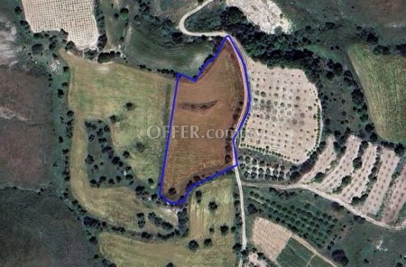 Agricultural Field for sale in Kannaviou, Paphos - 1