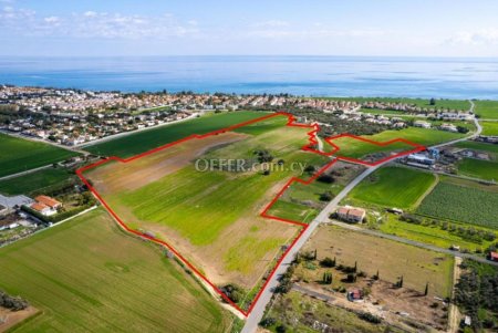 Shared field in Perivolia Larnaca