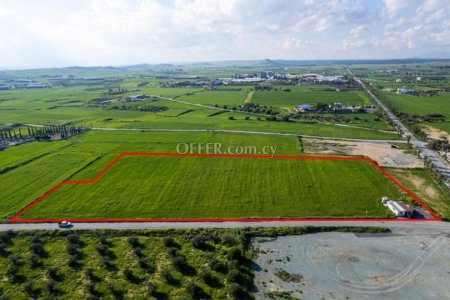 Shared field in Athienou Larnaca - 5