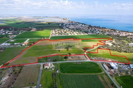 Shared field in Perivolia Larnaca - 4