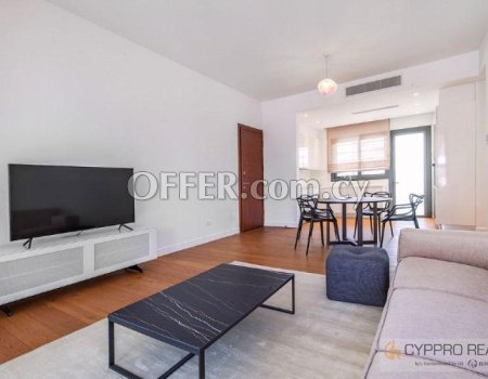 Luxury 2 Bedroom Apartment in Tourist Area - 3