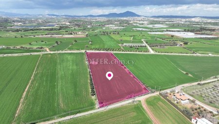 Agricultural field located in Mazotos Larnaca - 5