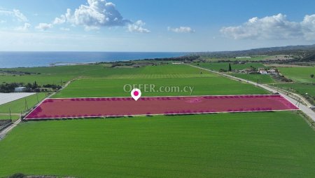 Agricultural field located in Mazotos Larnaca - 4