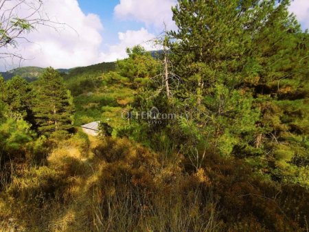 RESIDENTIAL PLOT OF 688 SQM AT PEDOULAS OF TROODOS WITH FANTASTIC VIEWS - 8