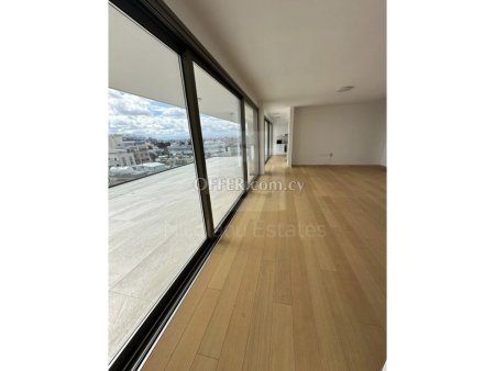 Super Luxury 3 bedroom Penthouse for rent in Acropoli - 5