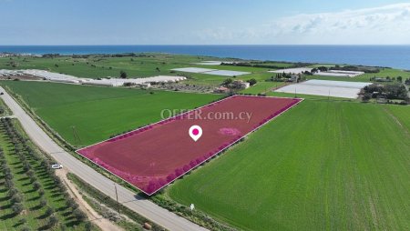 Agricultural field located in Mazotos Larnaca - 3