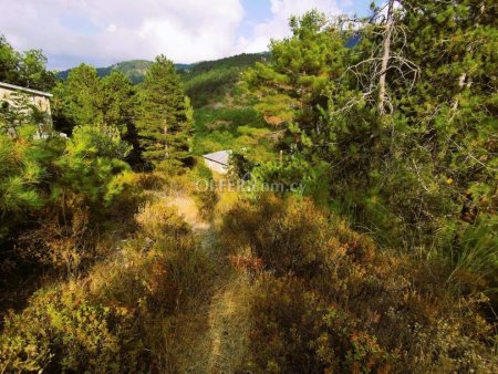 RESIDENTIAL PLOT OF 688 SQM AT PEDOULAS OF TROODOS WITH FANTASTIC VIEWS - 7