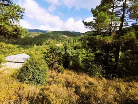 RESIDENTIAL PLOT OF 688 SQM AT PEDOULAS OF TROODOS WITH FANTASTIC VIEWS - 6