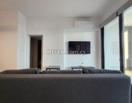 brand new 2 bedroom apartment for rent - 5