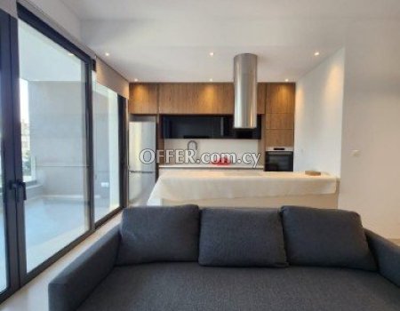 brand new 2 bedroom apartment for rent - 4