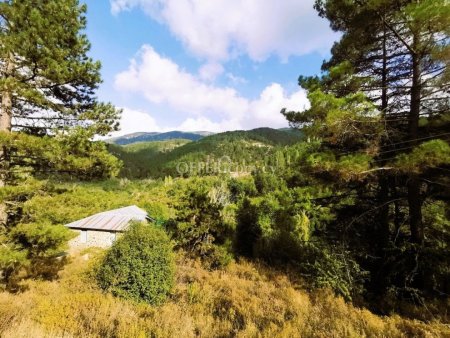 RESIDENTIAL PLOT OF 688 SQM AT PEDOULAS OF TROODOS WITH FANTASTIC VIEWS - 5