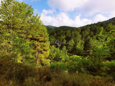 RESIDENTIAL PLOT OF 688 SQM AT PEDOULAS OF TROODOS WITH FANTASTIC VIEWS - 4