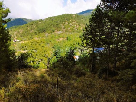 RESIDENTIAL PLOT OF 688 SQM AT PEDOULAS OF TROODOS WITH FANTASTIC VIEWS - 3