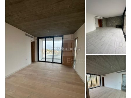 Breathtaking Seaview villa in Paniotis area of Agios Athanasios - 3