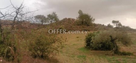 Field for sale in Episkopi, Limassol - 1